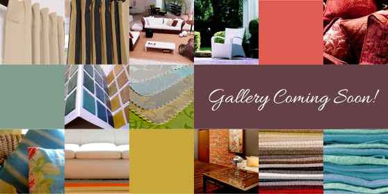 Gallery Coming Soon